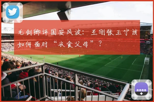 毛剑卿评国安风波：王刚张玉宁该如何面对“衣食父母”？